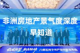 非洲房地产景气度深度 早知道